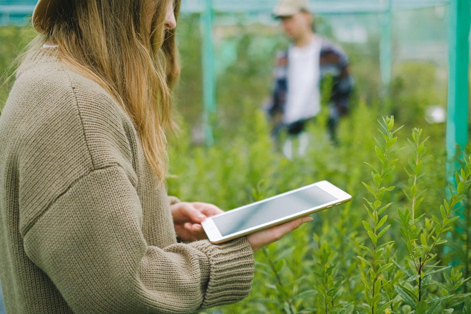 Decizie importantă: E-factura nu va mai fi obligatorie pentru artiști și agricultori