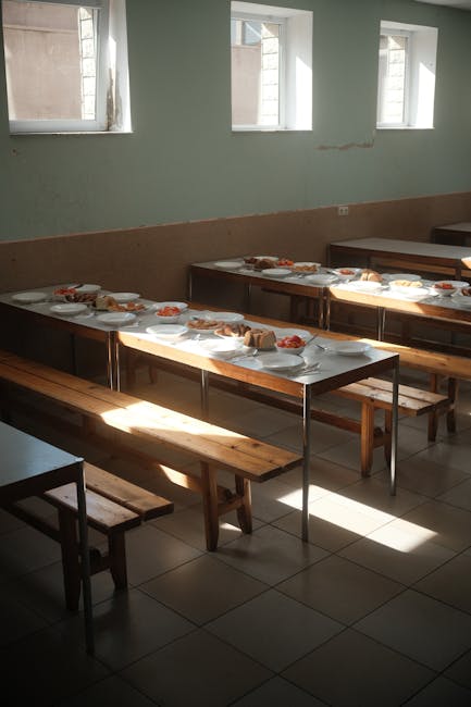 Percheziții în Satu Mare: anchetă privind posibile deconturi fictive în programul pentru elevi