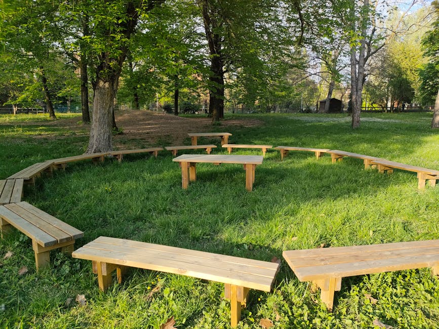 Revitalizarea zonei de picnic „La Iepure”: un pas important pentru Brașov