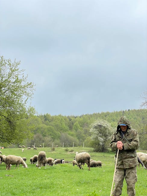 Căutări intense după un cioban dispărut în Horezu