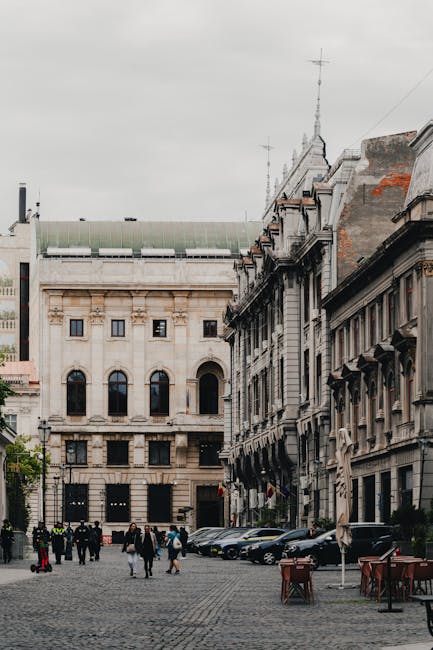 Zayda Montero încheie proiectul România Virală și anunță noi inițiative de ajutor