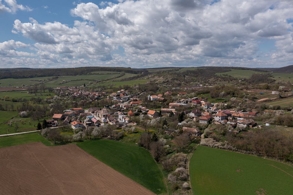 Situația șomajului în Bihor: o scădere timidă la sfârșitul lunii iulie