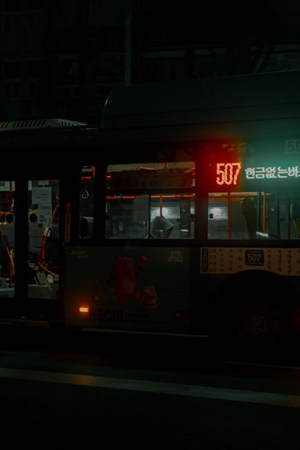 Descoperă Noaptea Muzeelor cu autobuzele Tursib: curse suplimentare pe linia 13