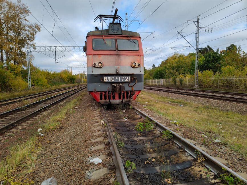 Selfie pe tren: riscuri letale și recuperări dificile