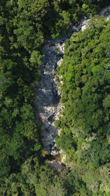 Descoperă biodiversitatea rară din Parcul Național Defileul Jiului