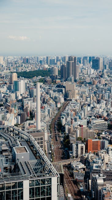Japonia își extinde orizonturile economice în Argeș: noi oportunități în infrastructură și tehnologie