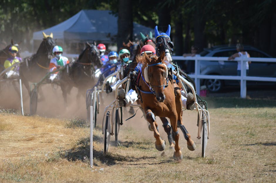 Reuniune hipică la Ploiești: cele mai captivante curse de trap și galop