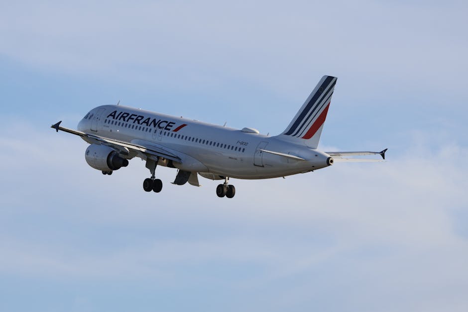 Sentință simbolică pentru Airbus și Air France după 17 ani de la tragedia din Atlantic