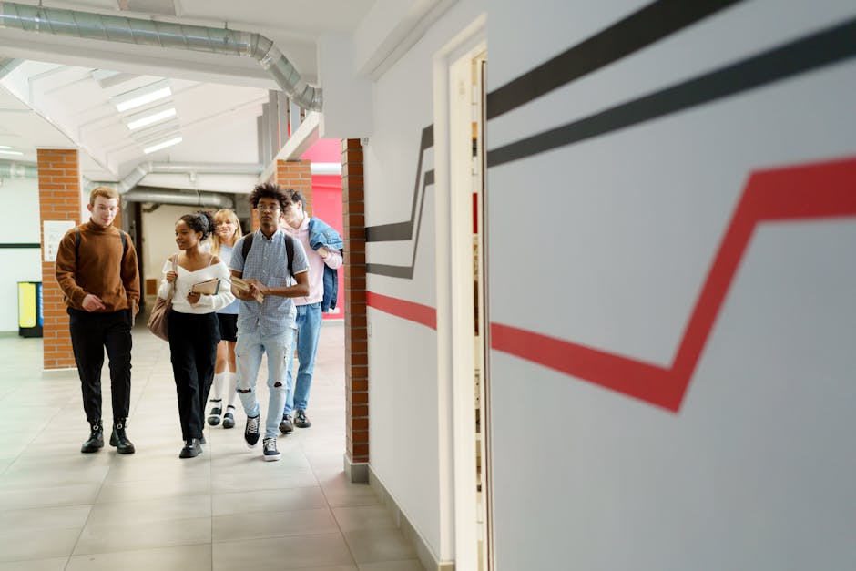 Cele mai căutate specializări liceale din județ: Colegiile de top și tendințele anului 2026