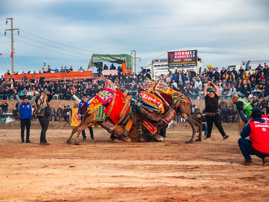 Descoperă Zilele Orașului Babadag: Festival de tradiții și sport între 23–26 octombrie