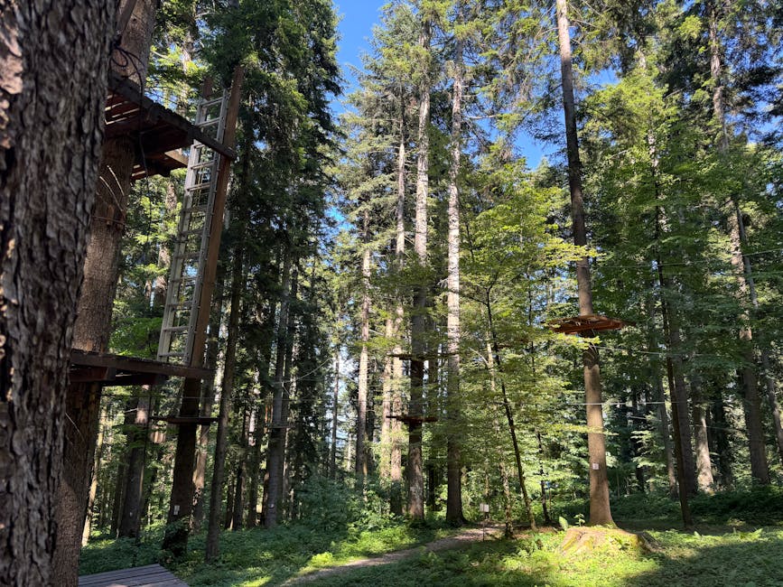 Descoperă adrenalina în aer liber: Parcul de aventură de la Pârâul Negru din Valea Jiului