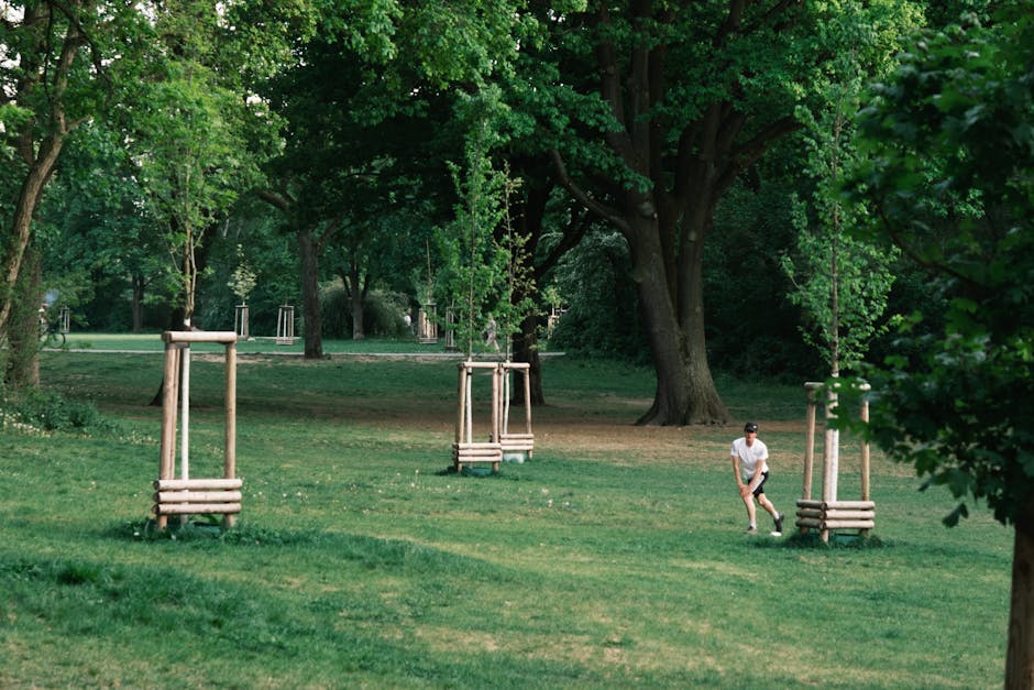 Brașov se transformă: un nou parc modern în cartierul Bartolomeu-Avantgarden