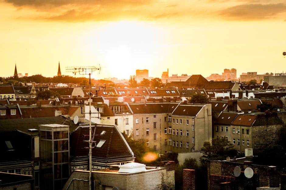Germany experiences record high temperatures as summer heatwave sets in