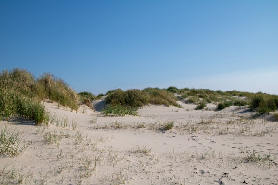 Plaja Kniepsand: un colos de nisip care îți taie respirația în Germania