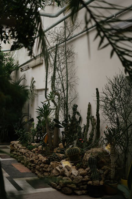 Timișoara găzduiește un eveniment captivant dedicat cactușilor și plantelor suculente