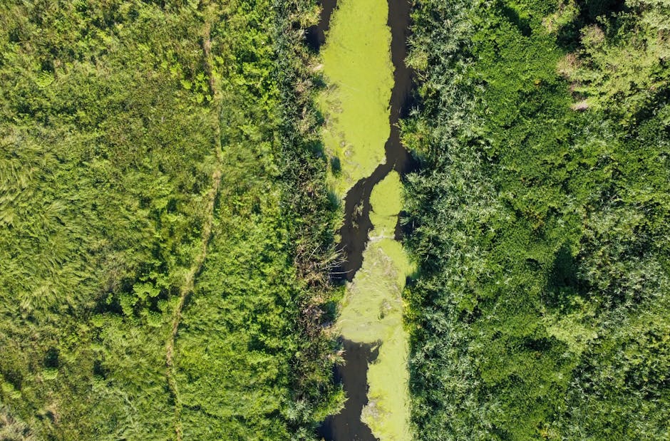 Descoperă biodiversitatea râurilor Crișul Repede și Peța la eDNA BioBlitz