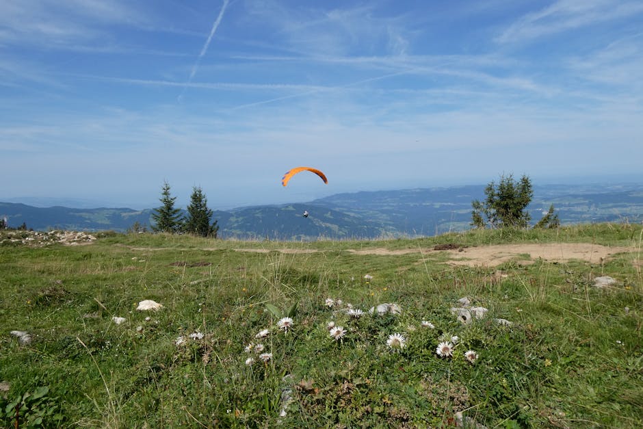 Accident aerian în Austria: o parapantistă lovește un avion în timpul zborului