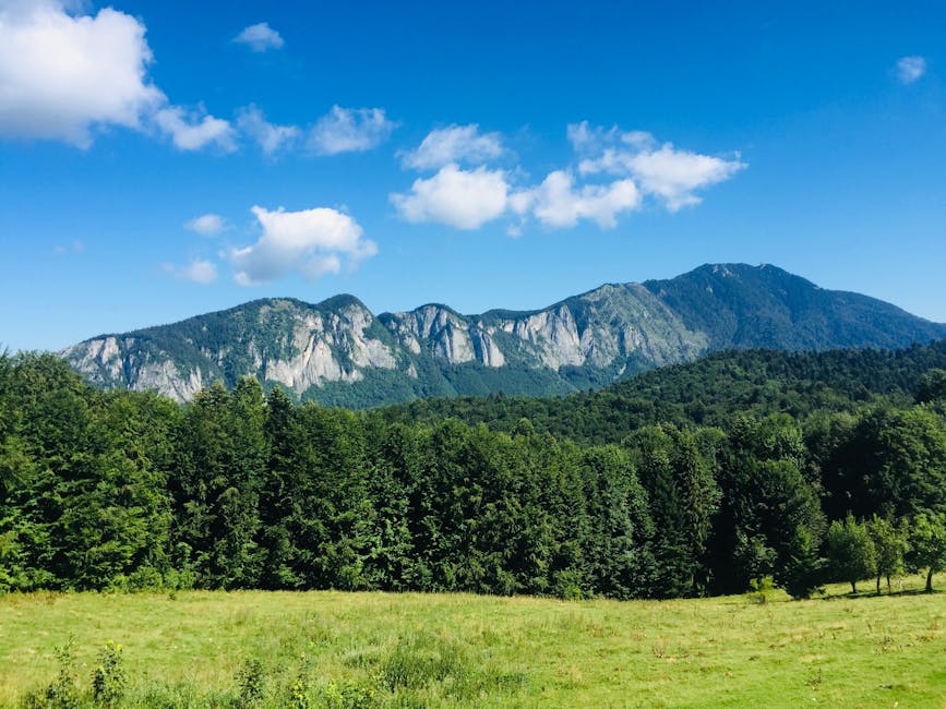 Explozie de căldură în România: temperaturi record și ploi izolate la munte