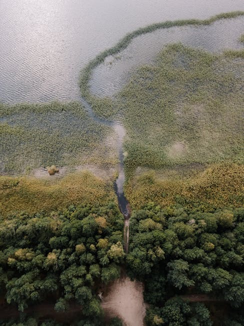 Acțiuni ecologice în Delta Dunării: curățarea canalelor și plajelor sălbatice
