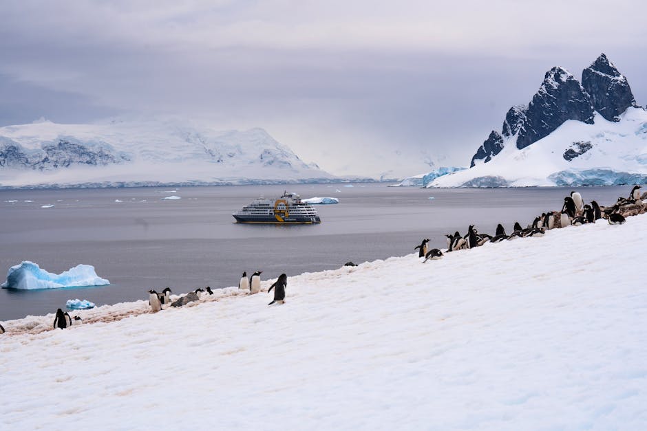 Viața unui poștaș în Antarctica: între pinguini și provocările unui oficiu poștal izolat