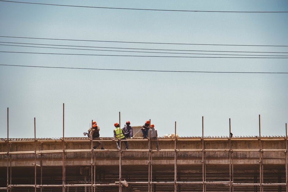Oamenii din spatele succesului construcțiilor Erbașu: o echipă dedicată pentru proiecte durabile