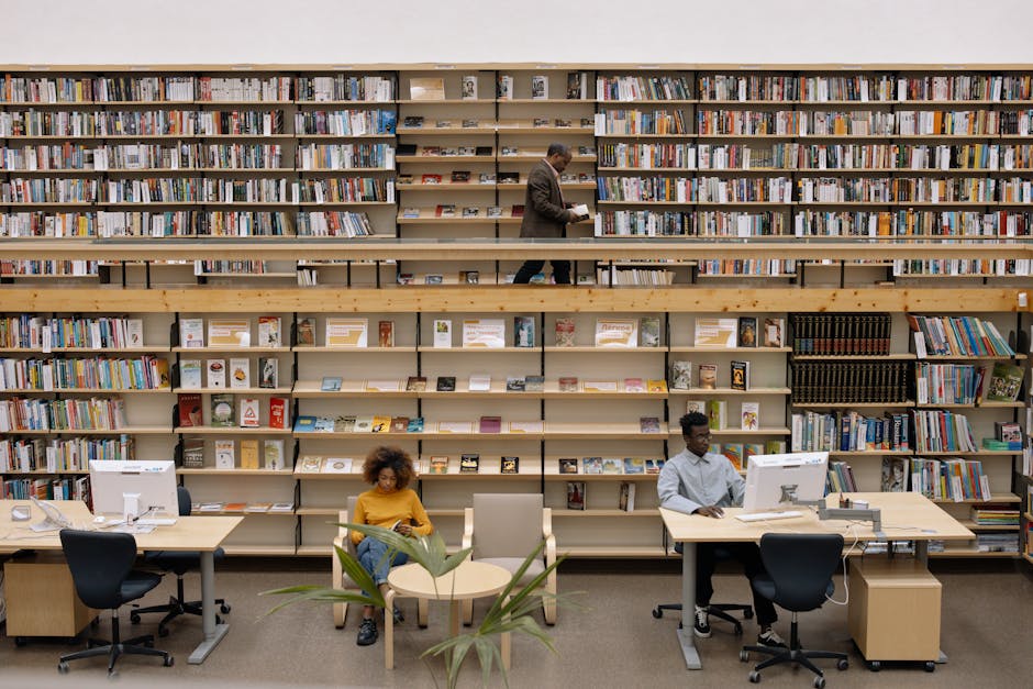 Transformarea unei clădiri părăsite în bibliotecă modernă cu hub digital la Teaca