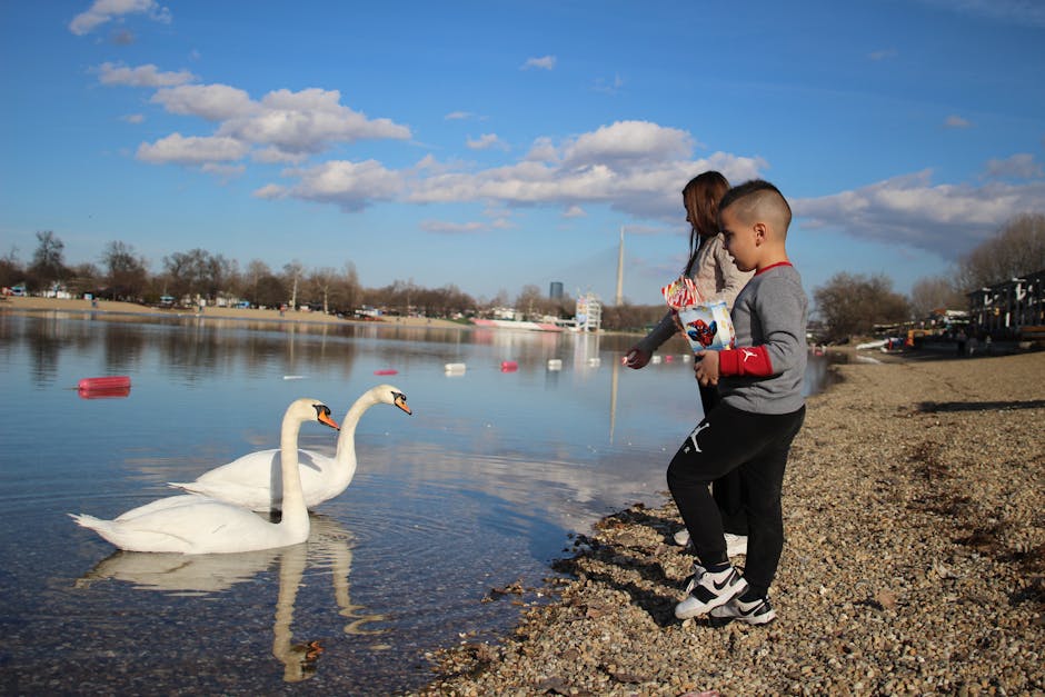 Ziua Copilului aduce distracție gratuită la Lacul Binder și Grădina Zoologică din Sibiu