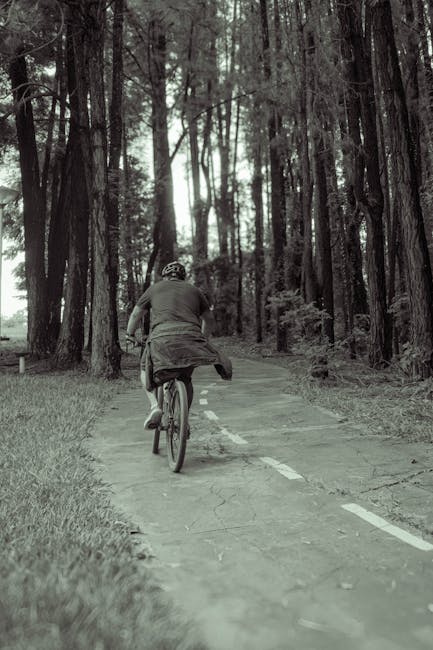 Circuitul cicloturistic „Mocănița” din Sadu devine exclusiv pentru bicicliști și pietoni