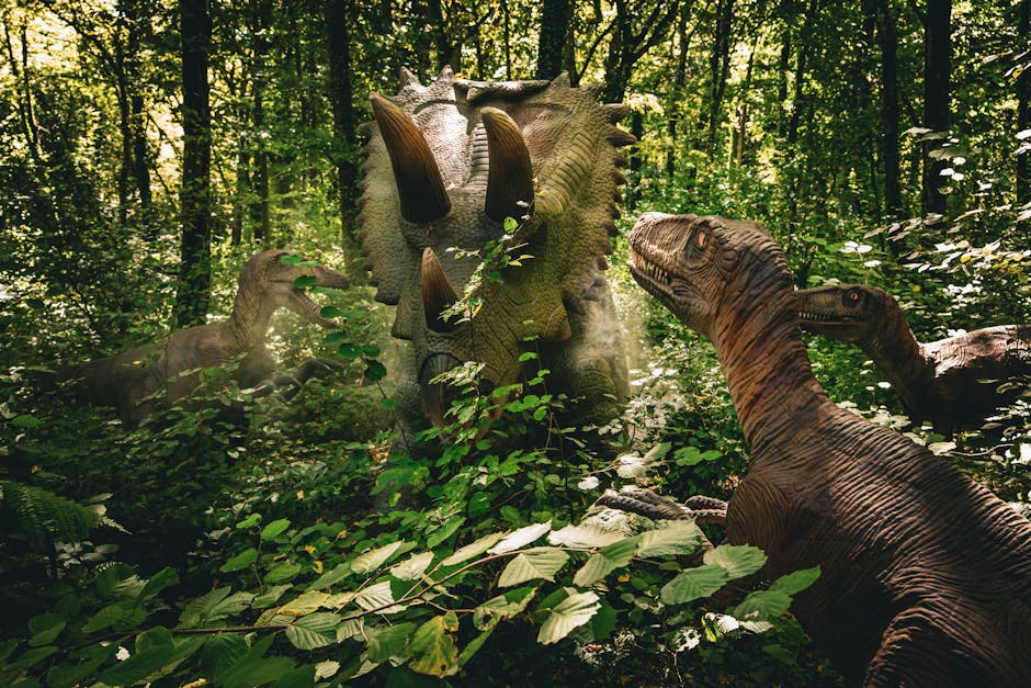 Descoperă poteca dinozaurilor: o nouă atracție în Geoparcul Țara Hațegului