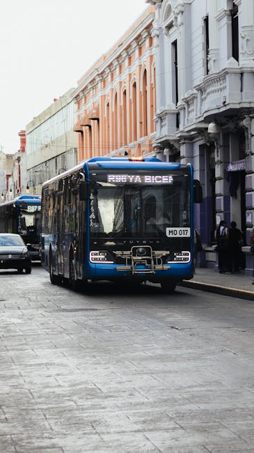 Modificări de traseu pentru autobuzele din Constanța: liniile 44 și 51 deviate!