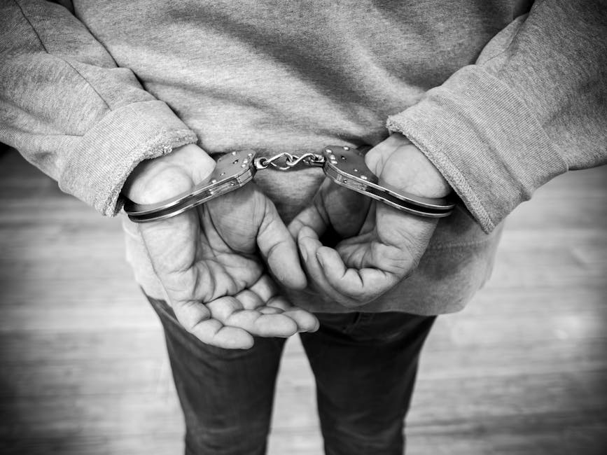 Captură surprinzătoare: un ucrainean căutat de Interpol, prins în Satu Mare