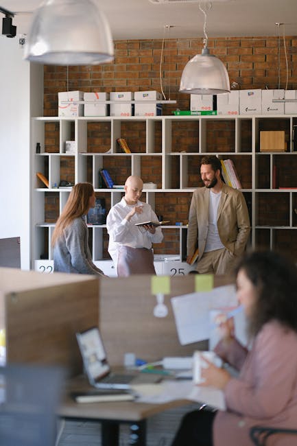 Descoperă GROW OFFICES: birouri moderne pentru antreprenori în Bistrița