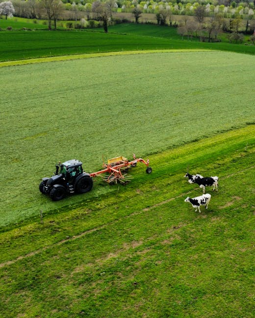 Finanțări de până la 100.000 de euro pentru fermieri: cum poți aplica