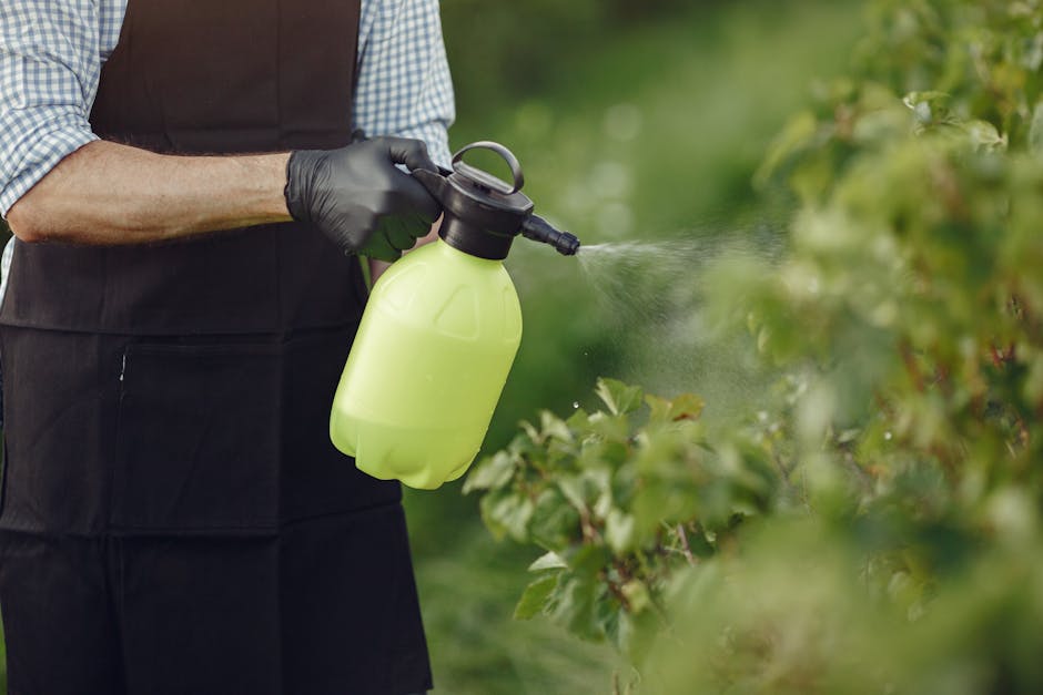 De ce o pompă de stropit electrică de 10 litri este esențială pentru grădina ta