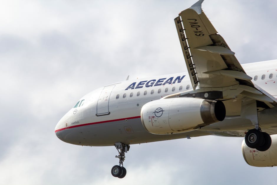 Reduceri de până la 50% la biletele de avion: Vola.ro și AEGEAN Airlines sărbătoresc cu o promoție unică