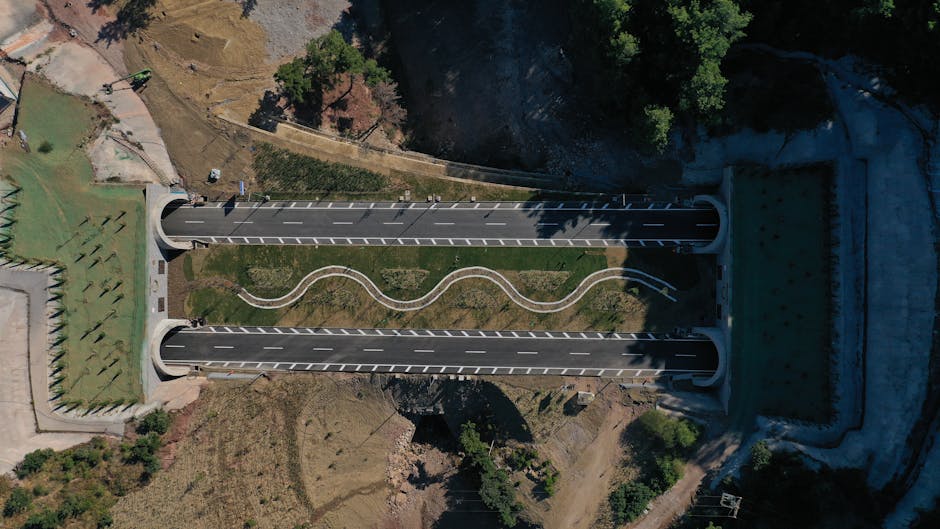 Un pod revoluționar pe Autostrada Sibiu–Pitești, dedicat animalelor sălbatice