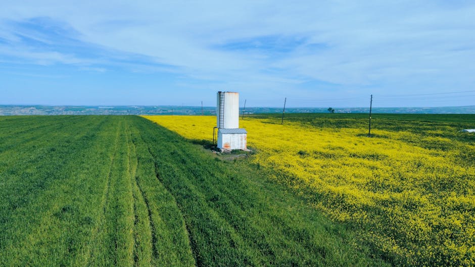 Romgaz finalizează achiziția Azomureș pentru 69 de milioane de euro