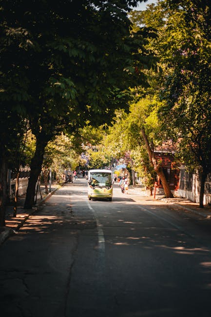 Microbuz electric adus în Curtișoara pentru transportul elevilor