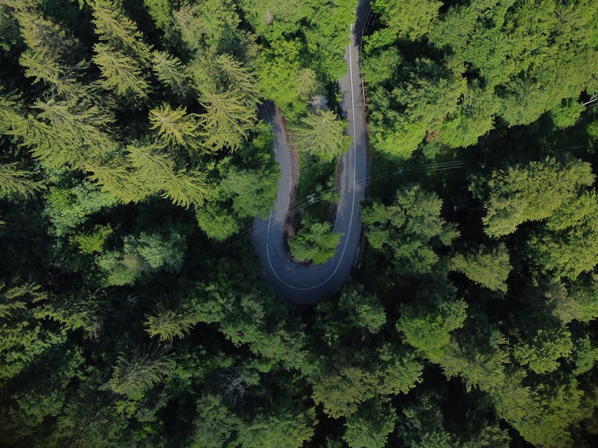 Investiții în infrastructura silvică din Maramureș: Noul drum forestier în atenție