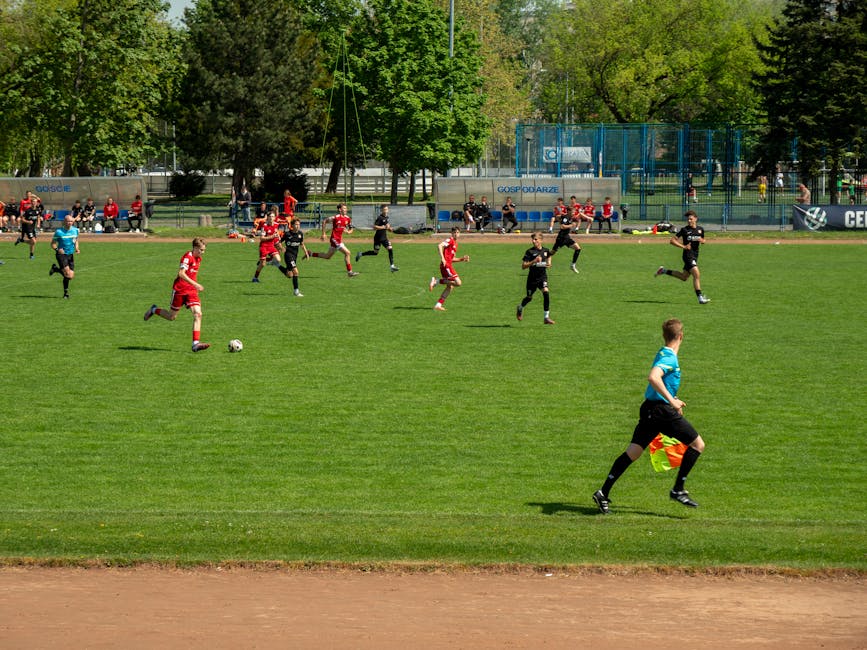 Nouă bază sportivă de 7,6 milioane lei inaugurată la Sânmartin, cu ocazia Cupei Lotus 2026