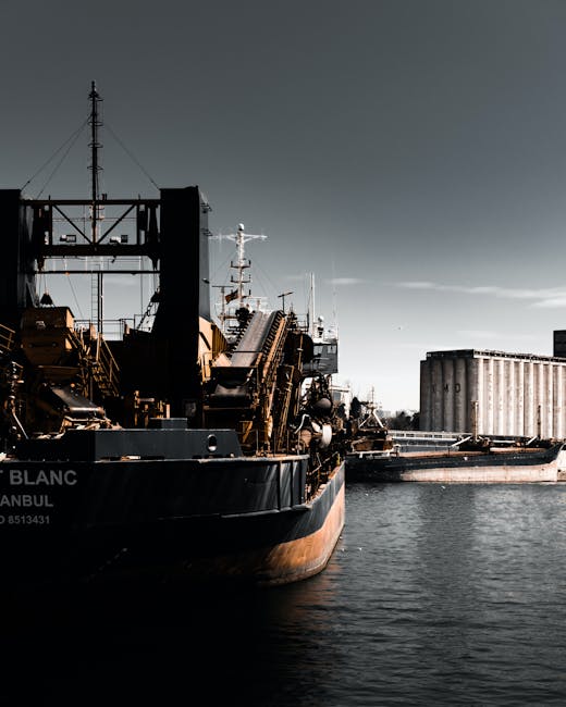 Andrei Brighidău preia conducerea CERONAV: un profesionist cu experiență în domeniul maritim