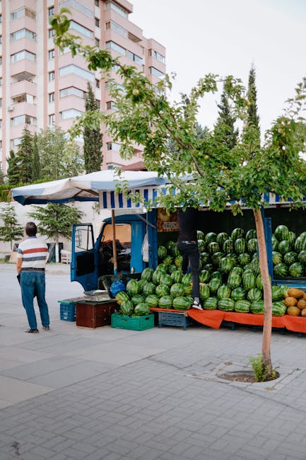 Descoperă cele 24 de locuri pentru comerțul cu pepeni în Arad