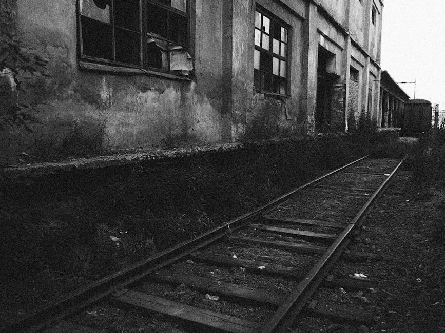 Gara uitată din Mireșu Mare: un simbol al abandonului