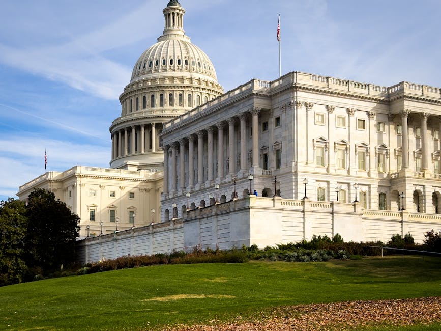 Impactul alegerilor din SUA asupra puterii de la Washington și asupra României