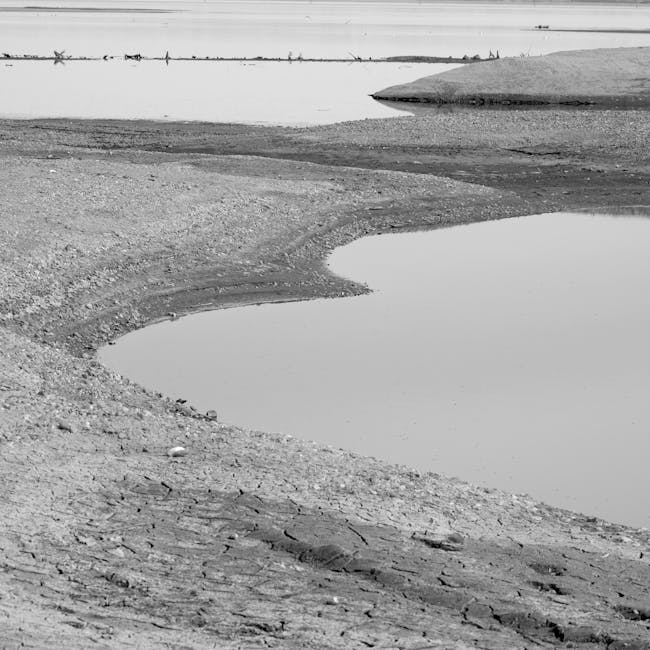 Un lac dispărut de un secol reapare miraculos în California