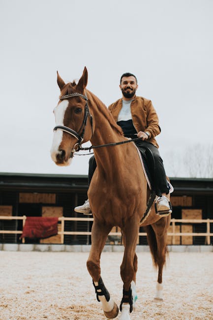 Cavaleria: noul centru de călărie din Satu Mare își deschide porțile