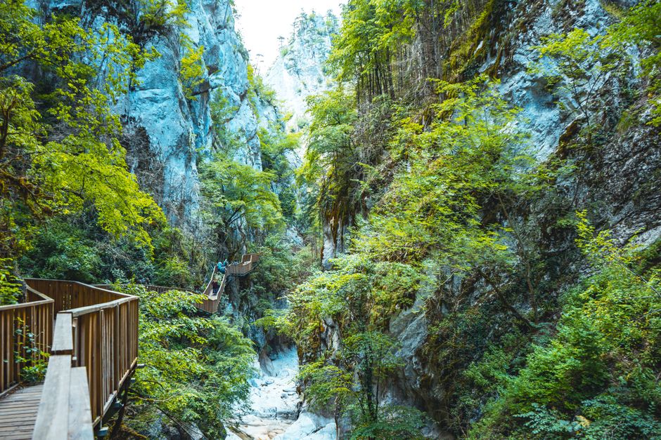 Descoperă natura: șapte panouri educaționale transformă Defileul Jiului