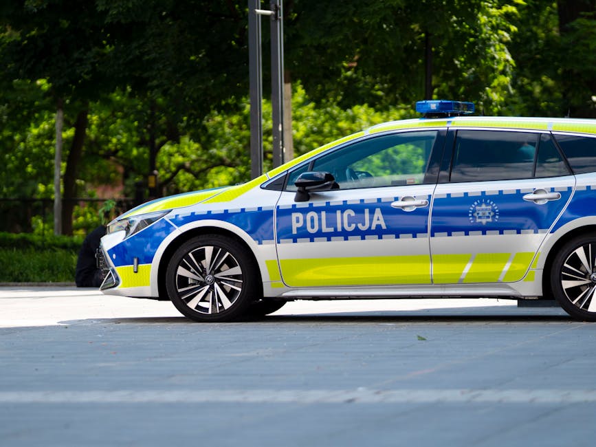 Descoperiri șocante la o firmă de pază din Buzău: prejudiciu de 1,8 milioane lei