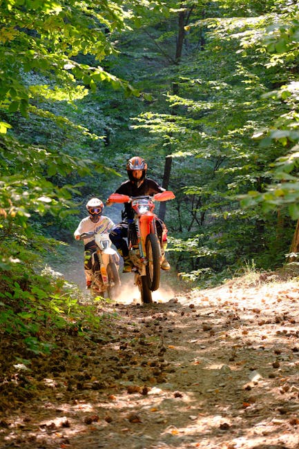 Un turist ceh amendat pentru utilizarea motocrosului într-o zonă protejată