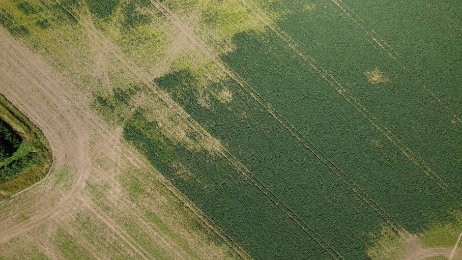 Incident misterios în Insula Mare a Brăilei: o dronă suspectă a luat foc